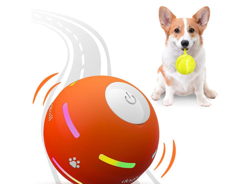 Pet products